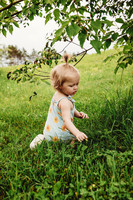 IMG_7085 1 copy