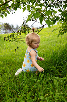 IMG_7085 copy