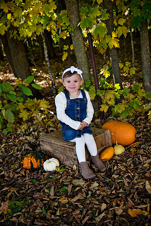 PBK_ARRICK_FALLMINI_2022_7806