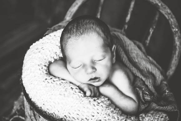 PBK_TROY_2023_NEWBORN_1215 3