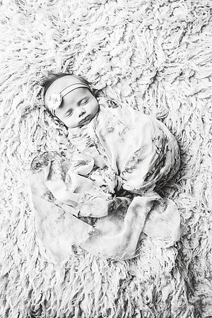 PBK_CARLSON_NEWBORN_2023_5488 copy
