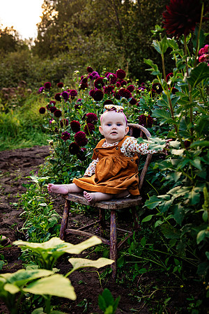 PBK_HARPER_6M_2023_0307
