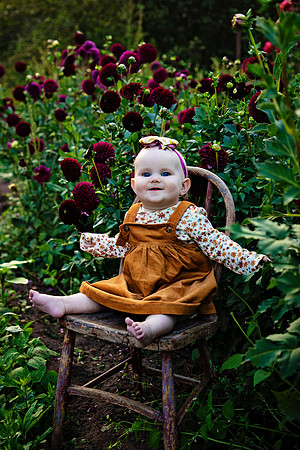 PBK_HARPER_6M_2023_0331