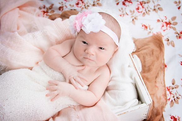 emilynewborn_3449