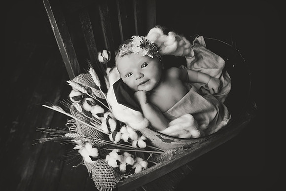 PBK_claire_newborn20198655 1