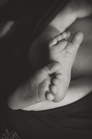 PBK_claire_newborn20198691 1