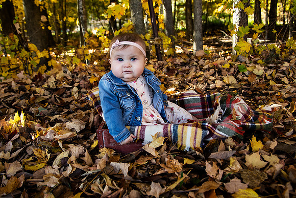 PBK_WOLF_FALL MINI_2020_2496