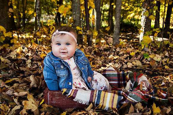 PBK_WOLF_FALL MINI_2020_2516