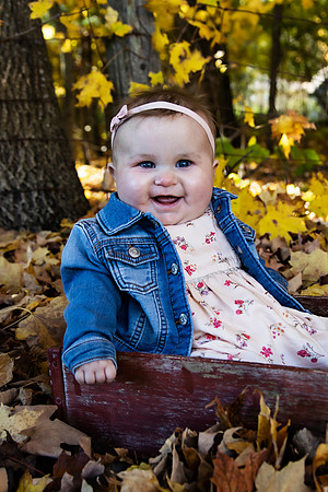 PBK_WOLF_FALL MINI_2020_3060