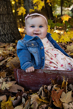 PBK_WOLF_FALL MINI_2020_3079