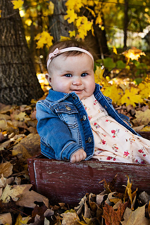 PBK_WOLF_FALL MINI_2020_3083