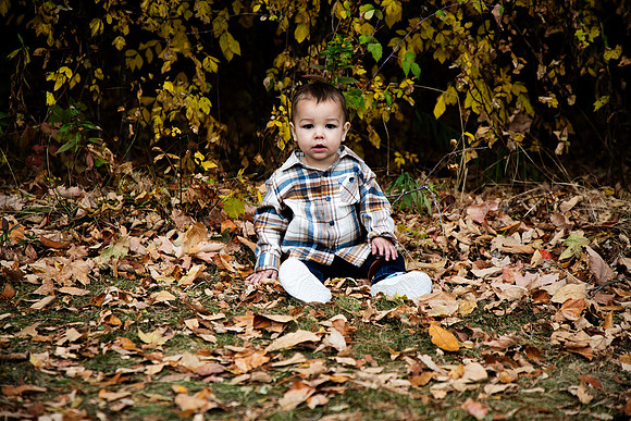 IMG_0229 copy