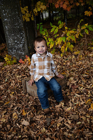 IMG_8564 copy