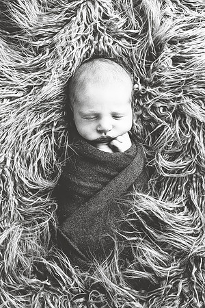 PBK_TUCKER_NEWBORN_2024_3612 1