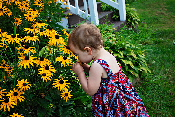 IMG_3133 copy