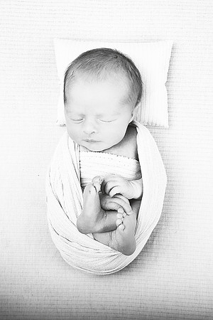 PBK_LEVI_NEWBORN_2022_9620 copy